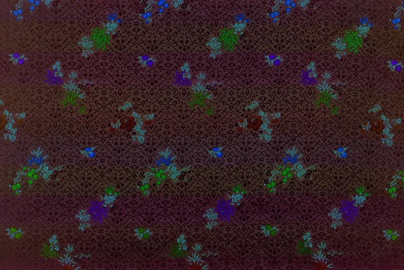 ���Ʊ���-������