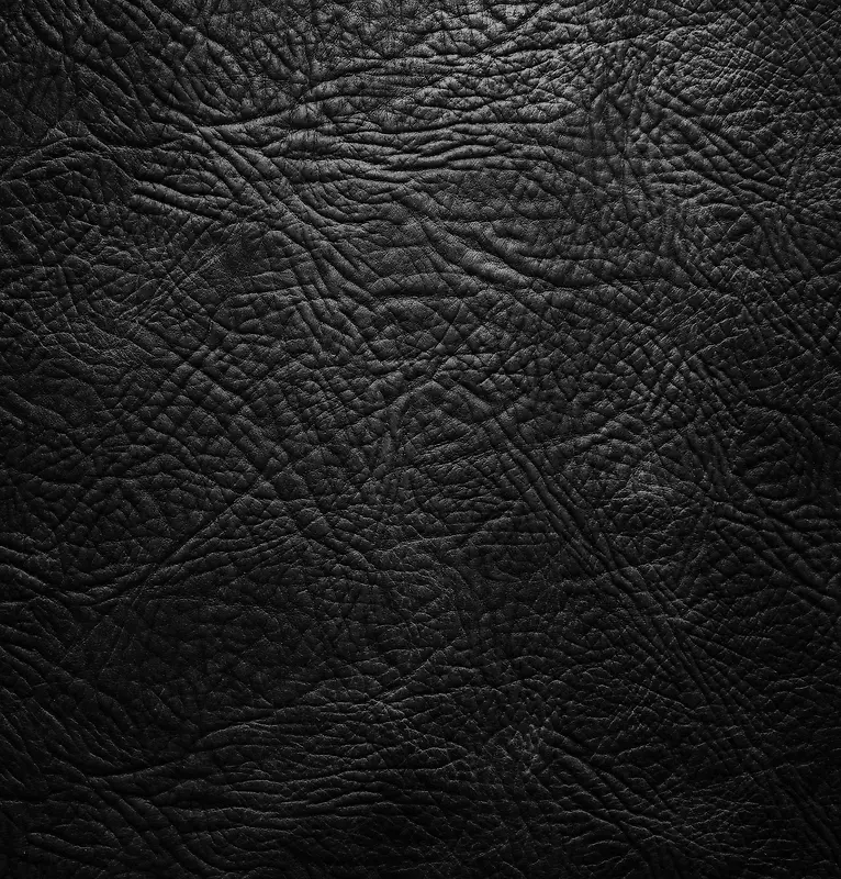 Ƥ�ﱳ������-������