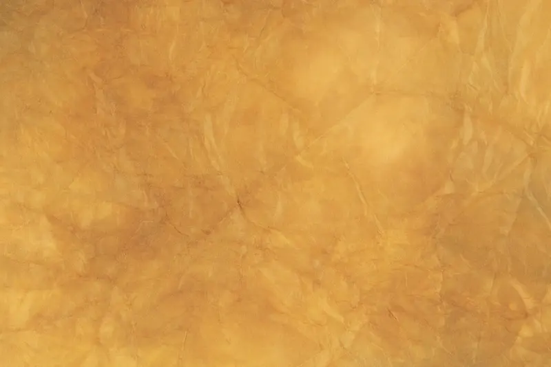 ֽ�ű���-������