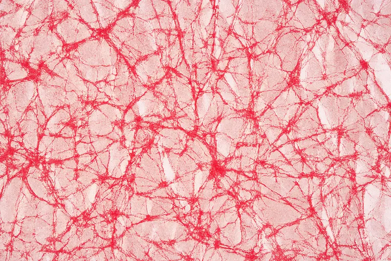 ֽ�ű���-������