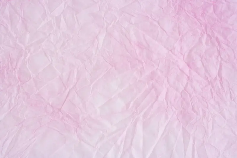 ֽ�ű���-������