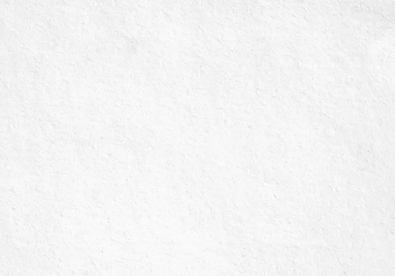 ֽ���������Ʊ���-������