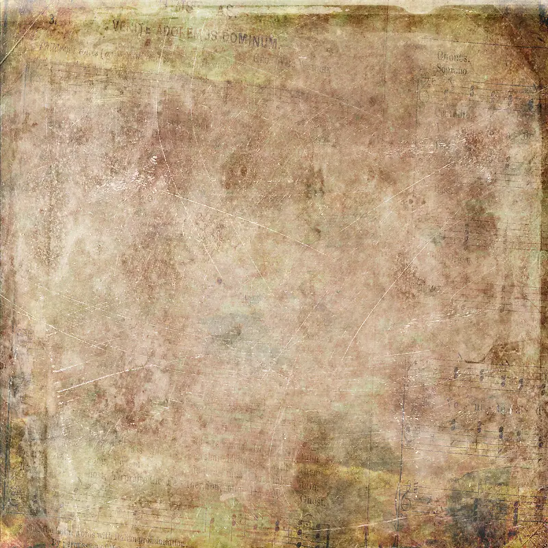 ����ֽ�ű�������-������