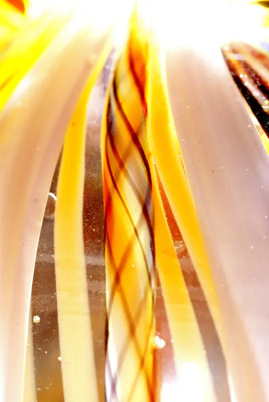 �λò�ɫ��������-������