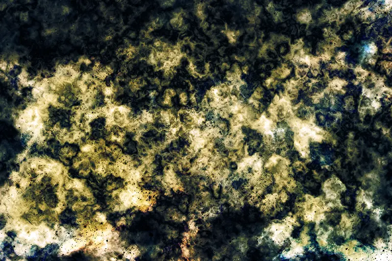 ���Ż�����������-������