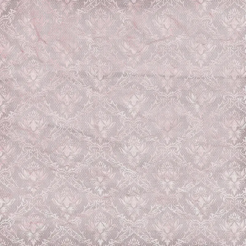 ���Ʊ����ز�-������