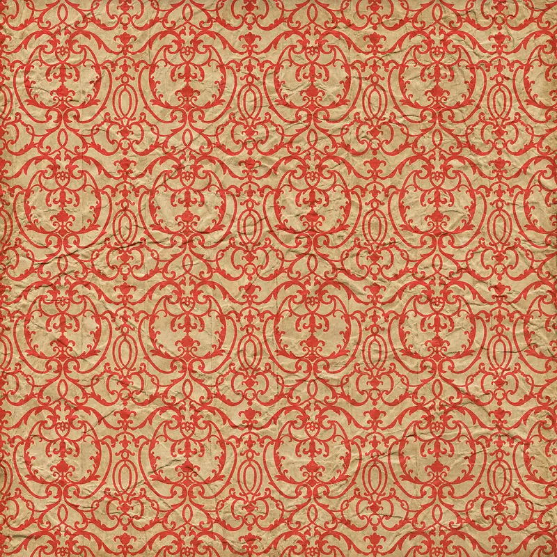 ���Ż��Ʊ���-������