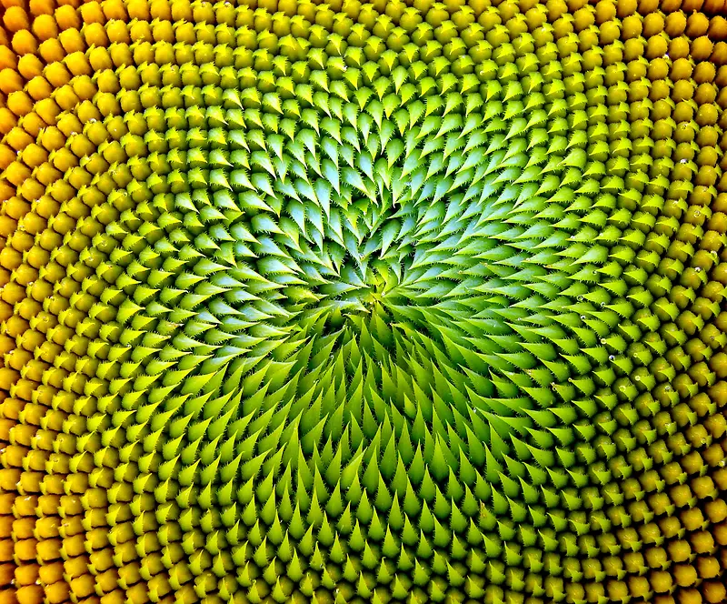 �λ�ֲ����������-������