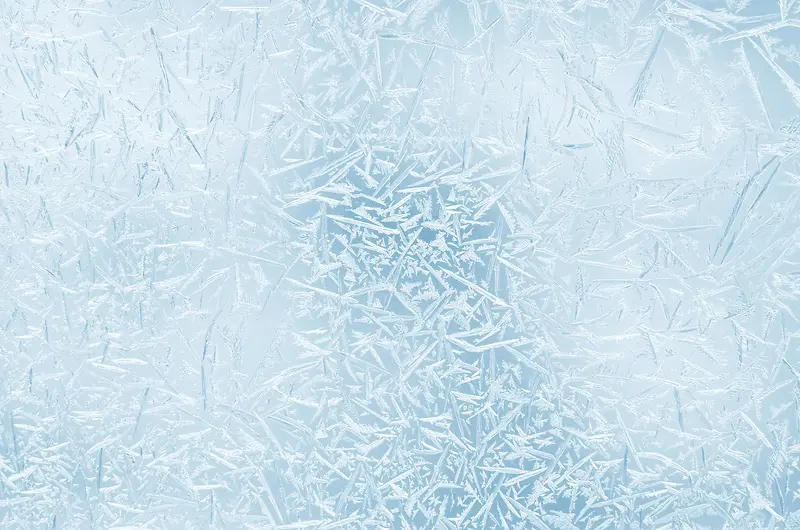 ���Ƶ��Ʊ���-������