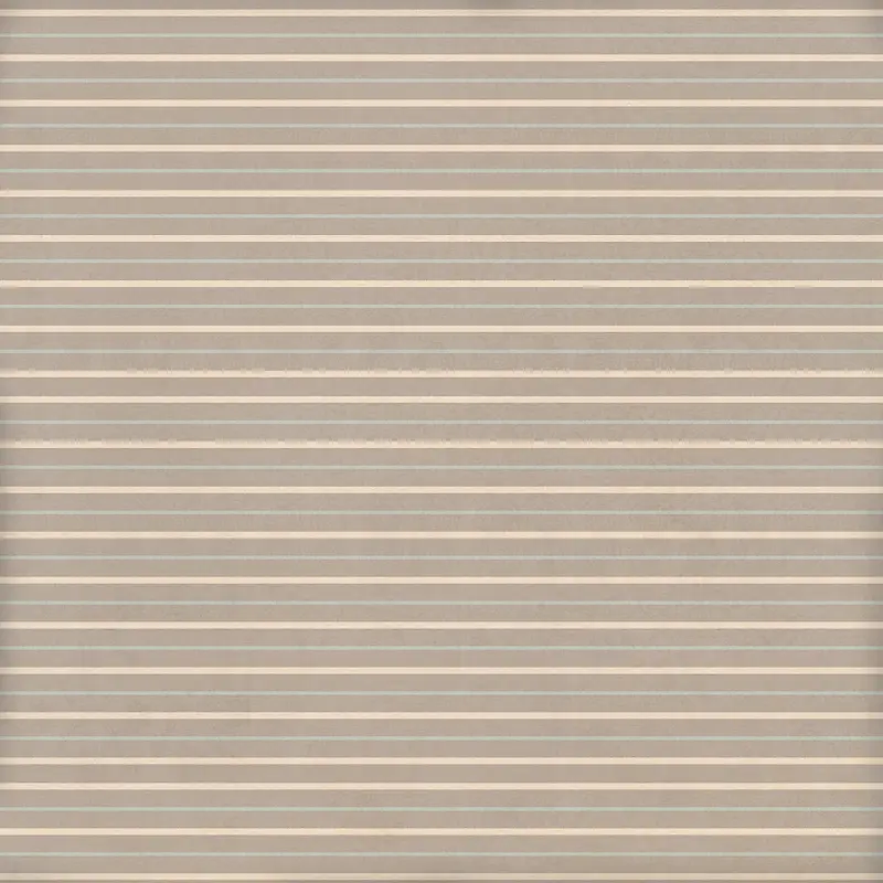 ���Ƶ��Ʊ���-������