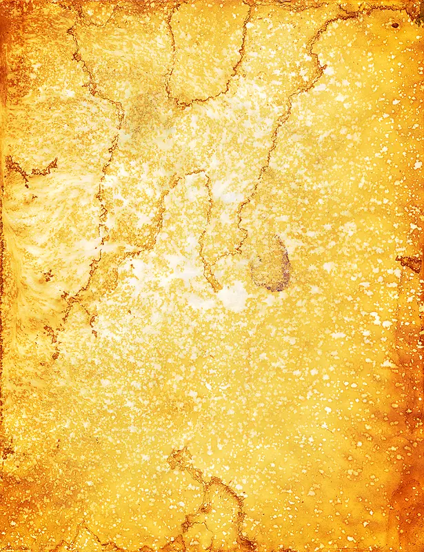 ��ֽ��������-������