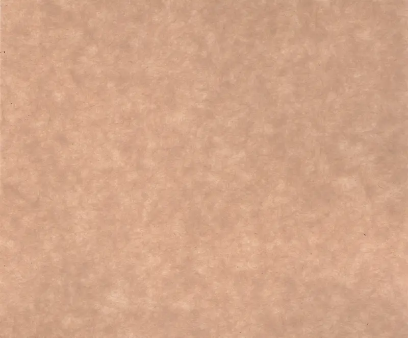 ��ֽ����������-������