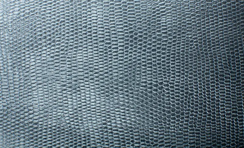 ��Ƥ��������-������