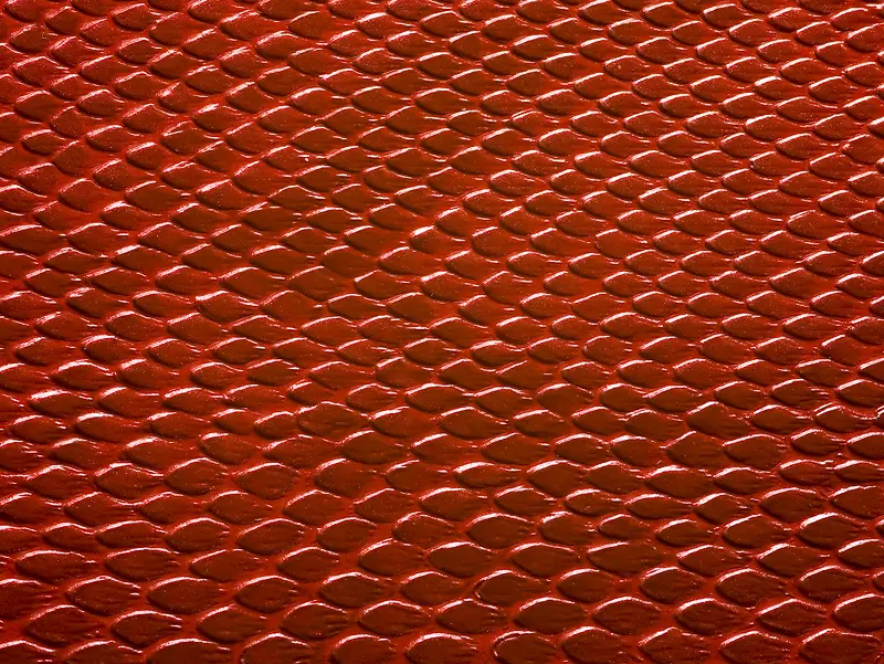 Ƥ����������-������