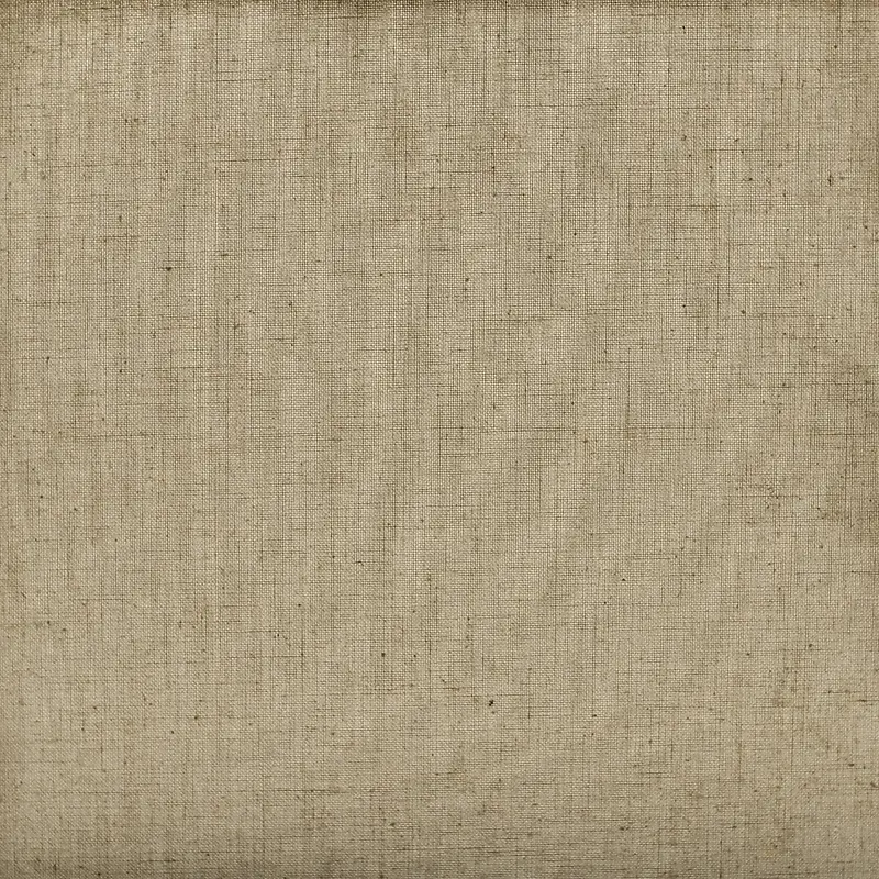 ���Ʊ�������-������