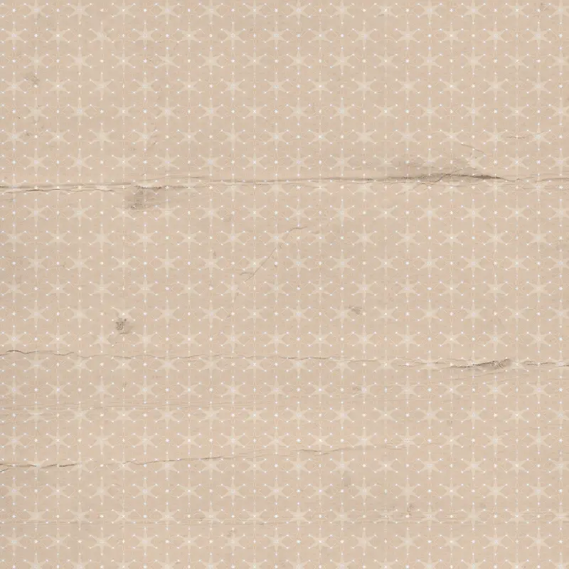 ����ֽ�ű���-������