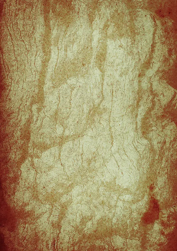 ����ֽ����������-������