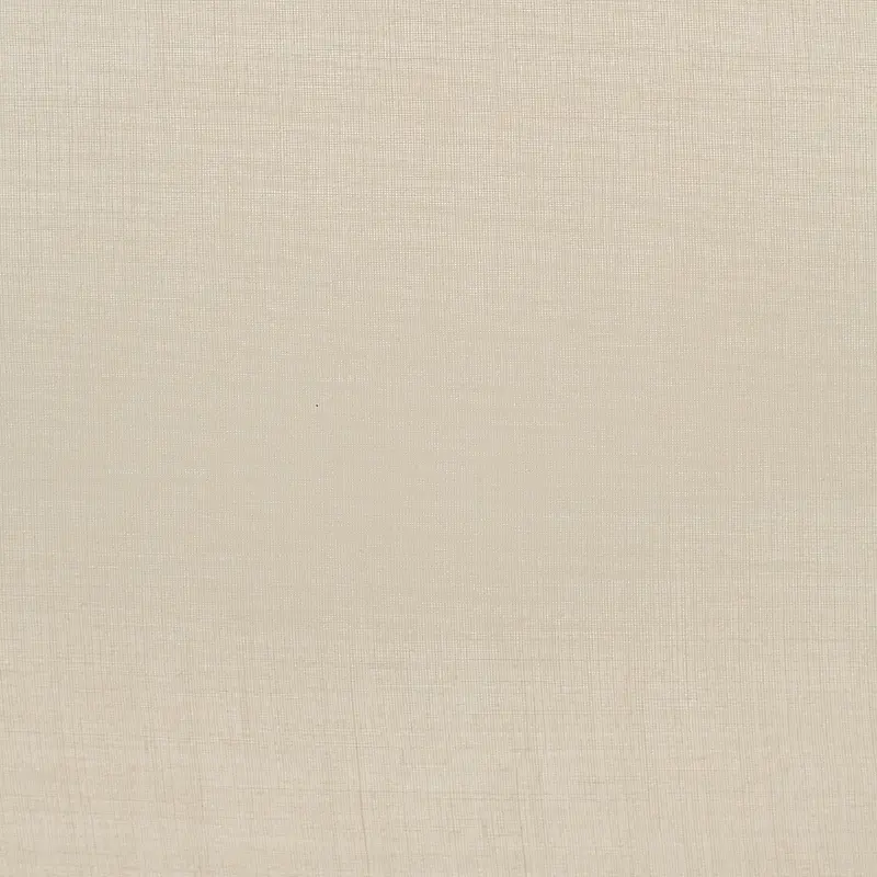 ���ɲ��Ʊ���-������