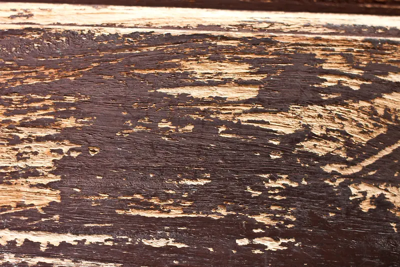 ����ľ�屳��-������