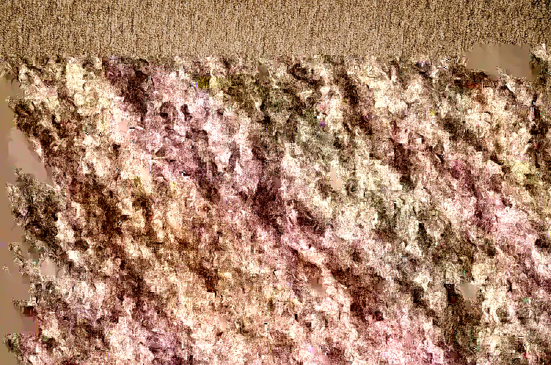 ֽ����������-������