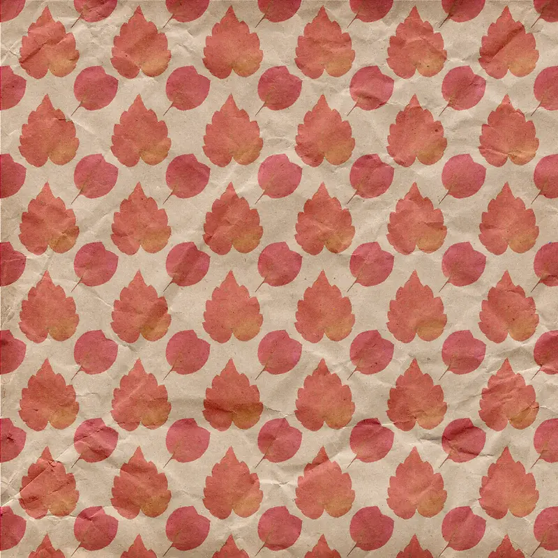 ��Ҷֽ�ű���-������