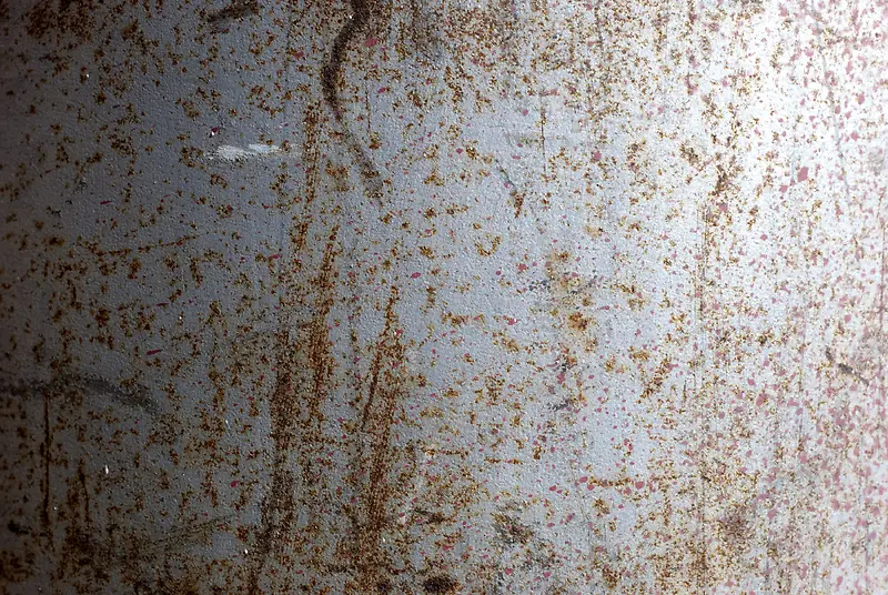 �����⼣����-������