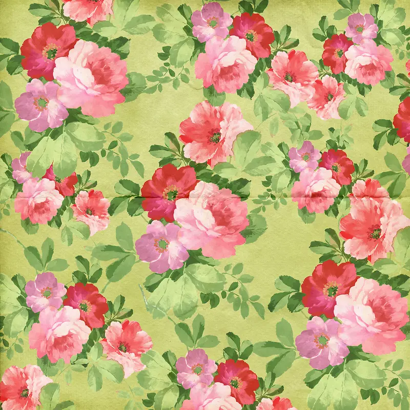 �ʻ�ֽ�ű���-������