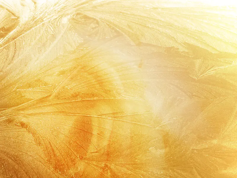 ��ɫ������������-������