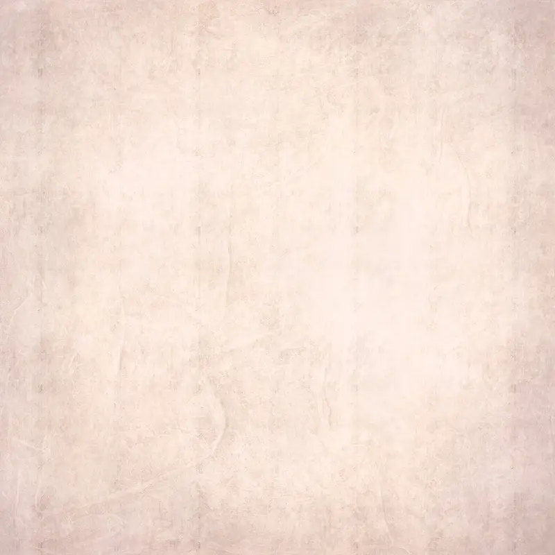 ֽ�ŵ��Ʊ���-������