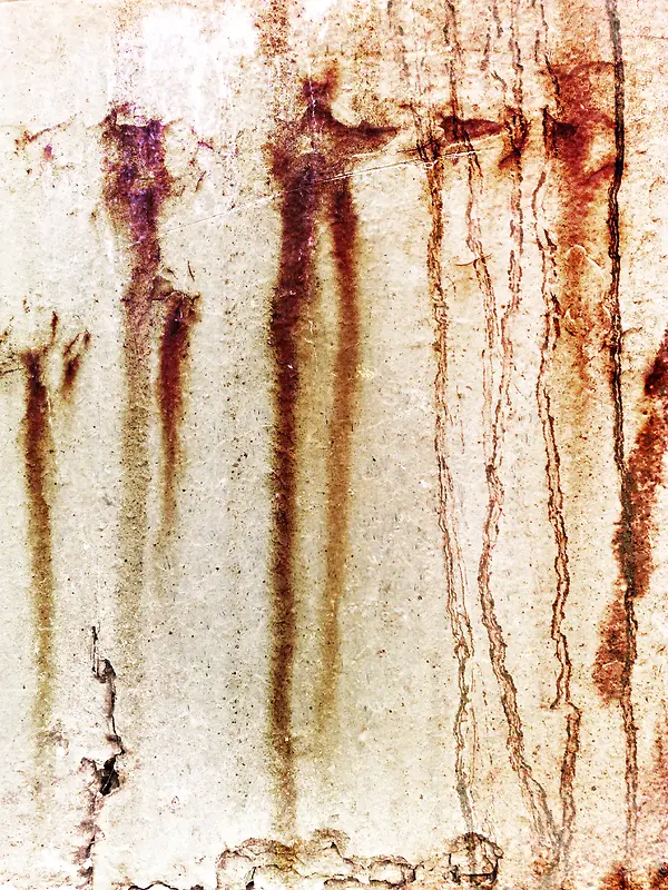 �����⼣����-������