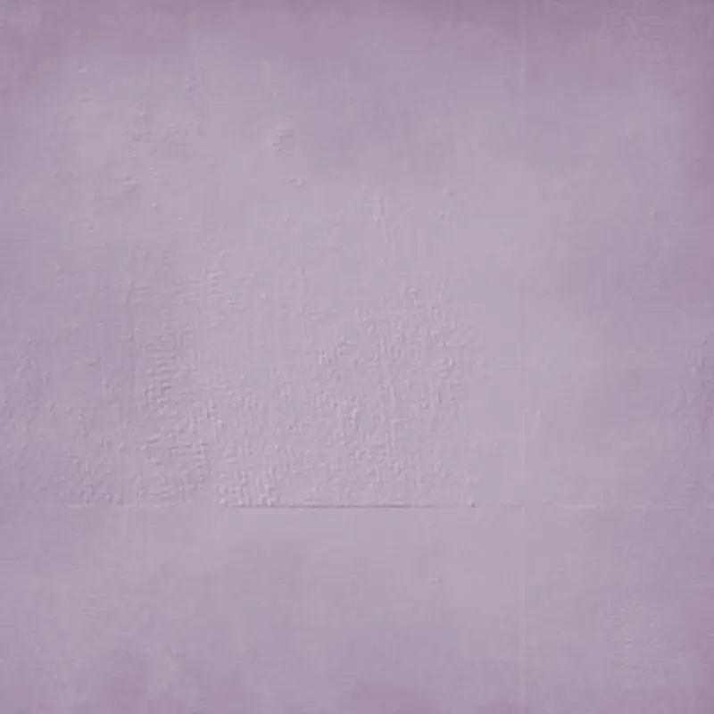 ֽ���������Ʊ���-������