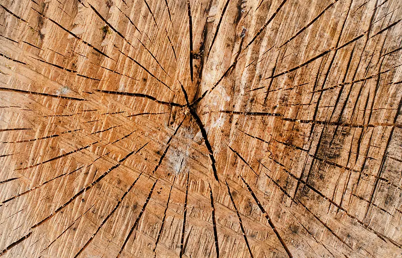 ľ�Ʊ�������-������