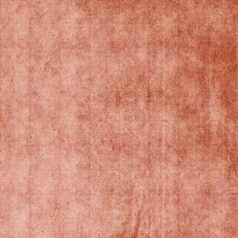 ֽ����������-������