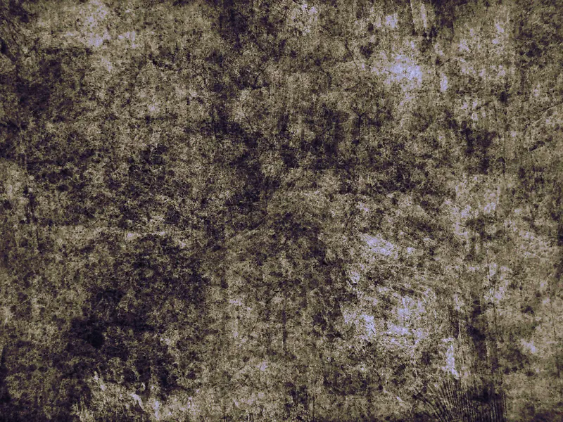 ǽ����������-������