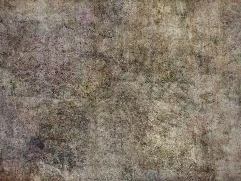 ǽ�ڱ�������-������