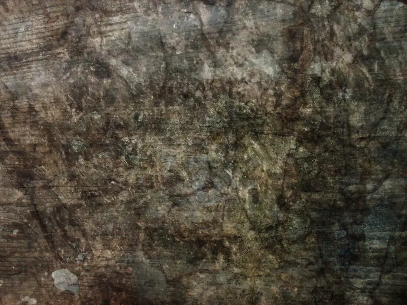 ����ǽ�ڱ���-������