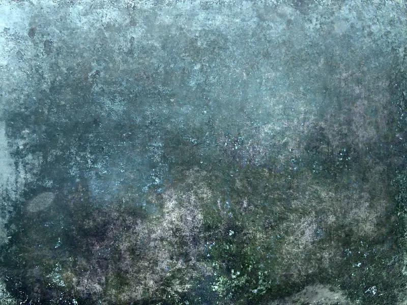 ����ǽ�ڱ���-������