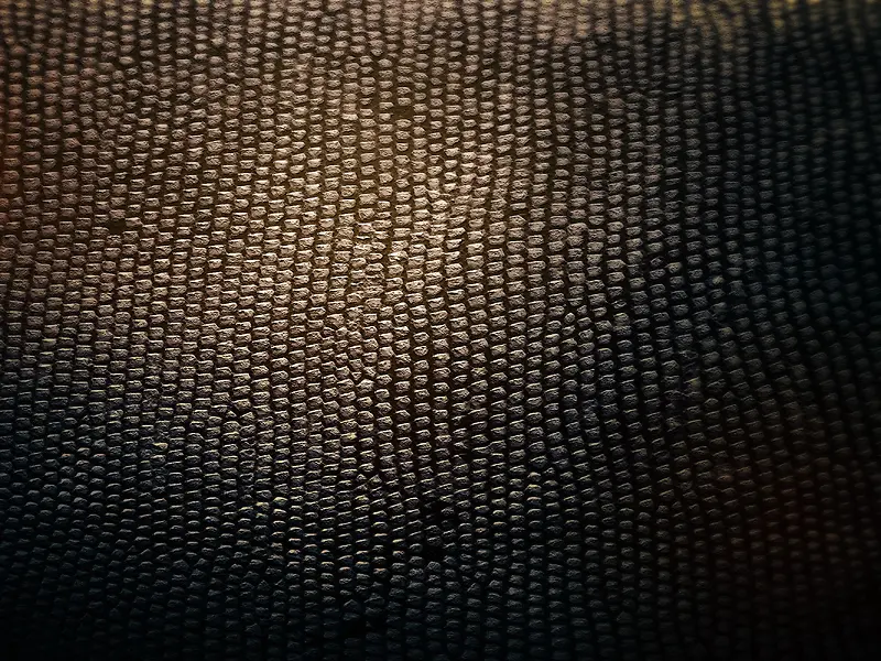 ��Ƥ��������-������