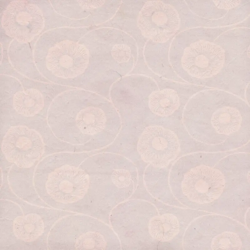 �ŵ�ŷʽ���Ʊ���-������