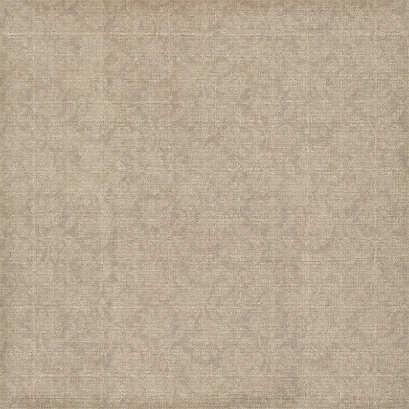 ���Ż��Ʊ���-������