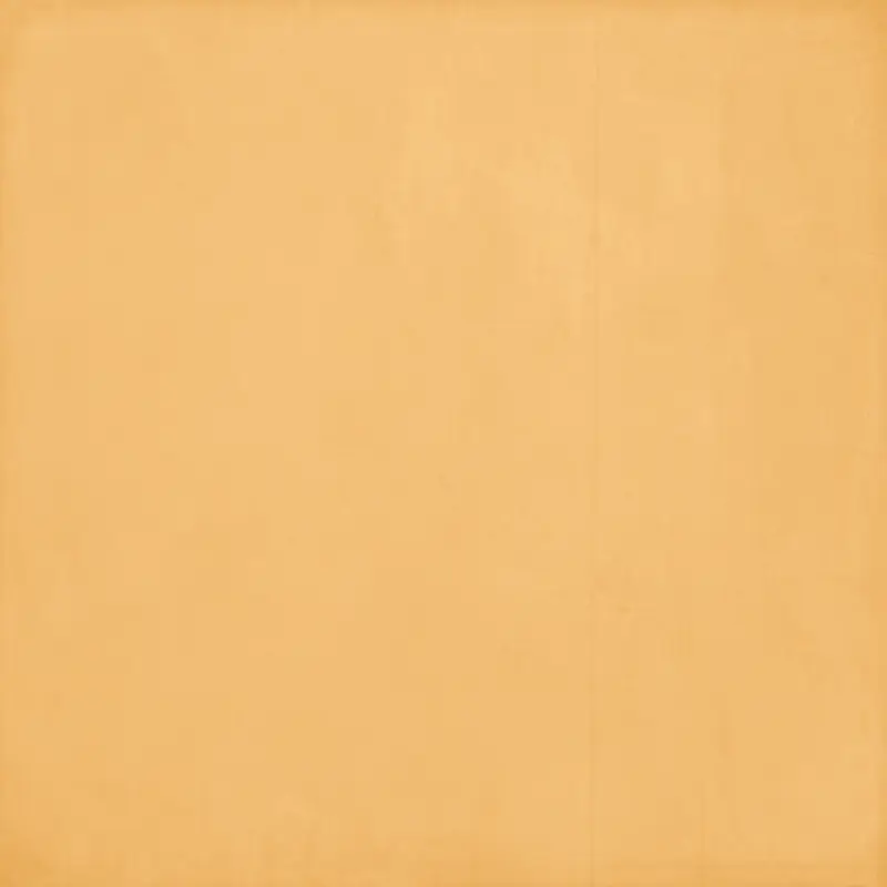 ��ֽ��������-������