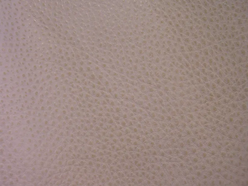 Ƥ����������-������