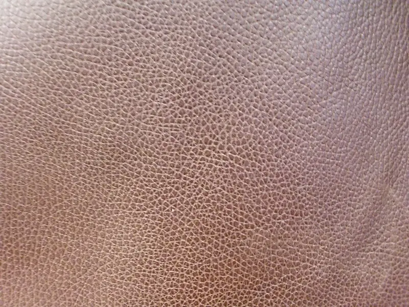 Ƥ����������-������