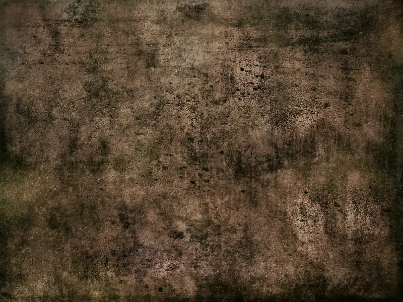 ����ǽ�ڱ���-������