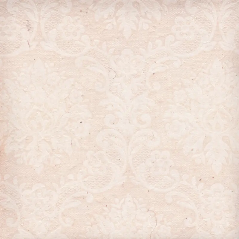 �ŵ仨�Ʊ���-������