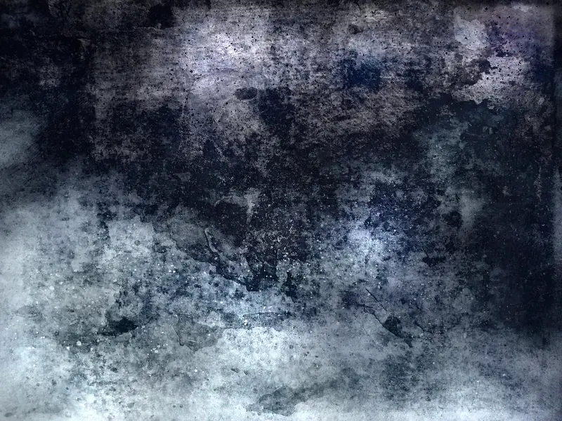 ����ǽ�ڱ���-������