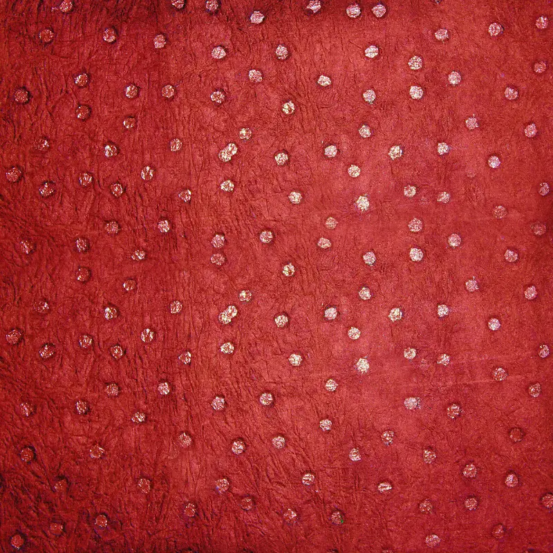 ��ֽ����ͼ��-������