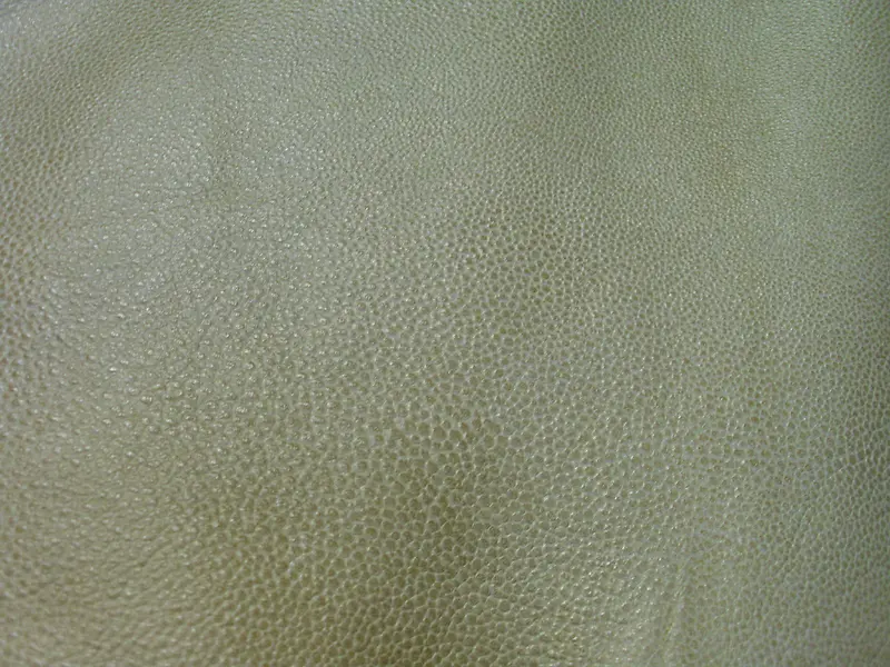 ��Ƥ��������-������