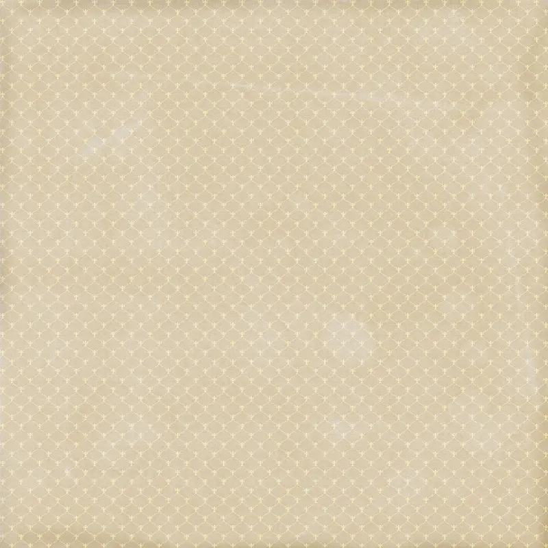 ���ŵ��Ʊ���-������