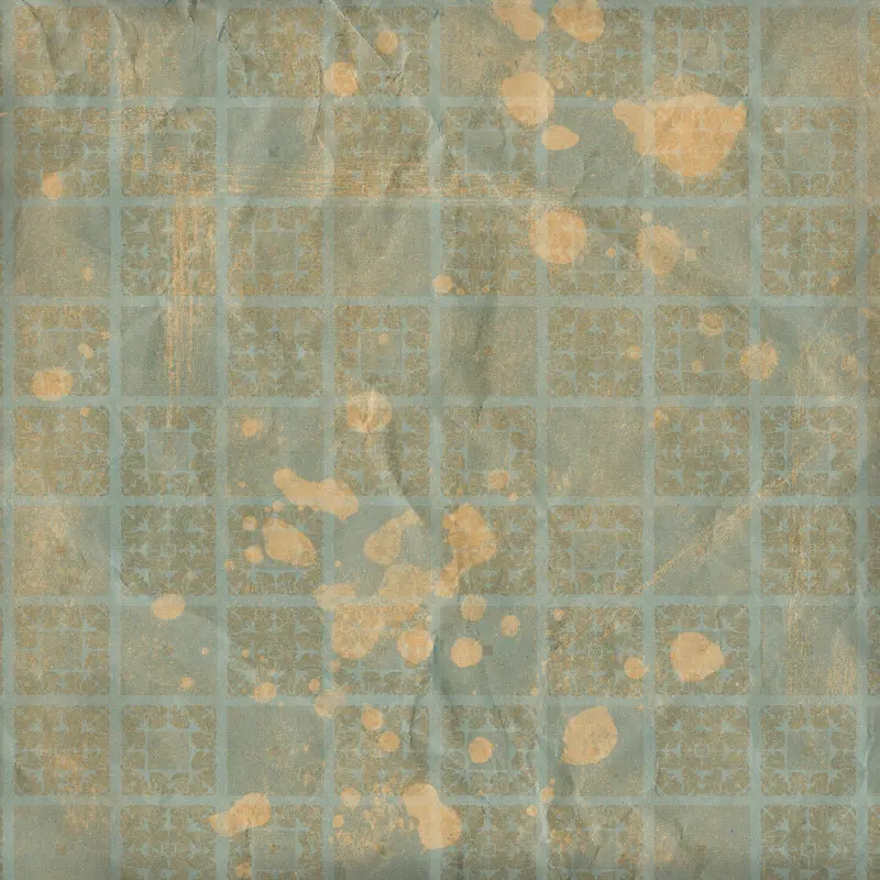 ����ī�����Ʊ���-������